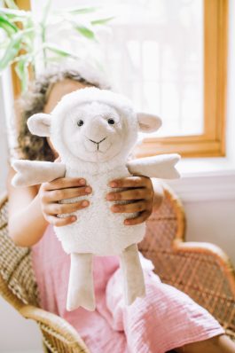 Darling Little Lamb Toy Pattern