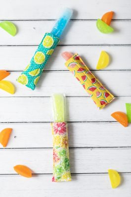 Summer Fun Freeze Pop Cozies