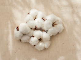 Natural vs. Synthetic: A Quick Guide to Different Fibers