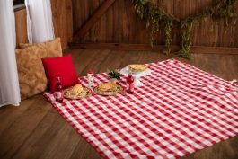 Classic Gingham Roll-Up Picnic Blanket