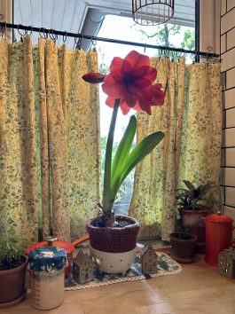 Cozy Cottage Lined Cafe Curtains